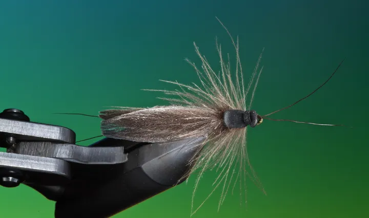 Stonefly Patterns for Beginners